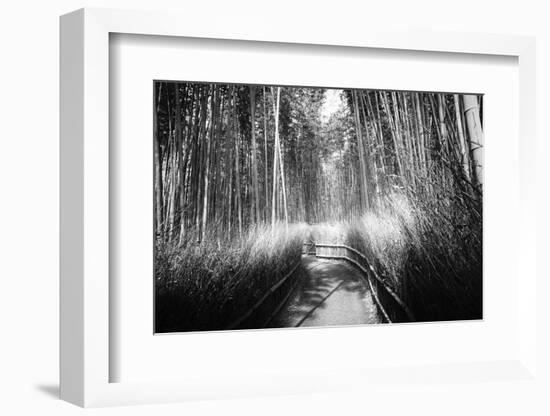 Black Japan Collection - Kyoto Bamboo Trail-Philippe Hugonnard-Framed Photographic Print