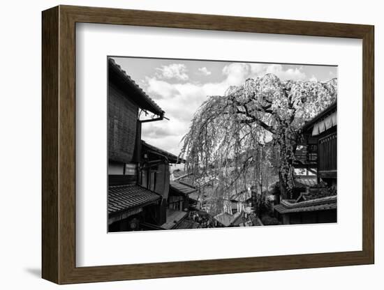 Black Japan Collection - Kyoto Cherry Blossoms-Philippe Hugonnard-Framed Photographic Print