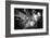 Black Japan Collection - Street Scene Hiroshima I-Philippe Hugonnard-Framed Photographic Print