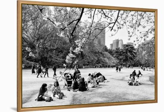 Black Japan Collection - Sunday afternoon in Spring-Philippe Hugonnard-Framed Premier Image Canvas