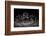 Black Jumping Spider (Salticidae)-Alex Hyde-Framed Photographic Print