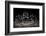 Black Jumping Spider (Salticidae)-Alex Hyde-Framed Photographic Print