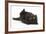 Black Kitten, 7 Weeks, Rolling on its Back-Mark Taylor-Framed Photographic Print