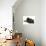 Black Kitten, 7 Weeks, Rolling on its Back-Mark Taylor-Photographic Print displayed on a wall