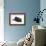 Black Kitten, 7 Weeks, Rolling on its Back-Mark Taylor-Framed Photographic Print displayed on a wall