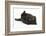 Black Kitten, 7 Weeks, Rolling on its Back-Mark Taylor-Framed Photographic Print