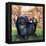 Black Knight. the Pekinese Dog Owned by Artist Sir Alfred Munnings.-McConnell-Framed Premier Image Canvas