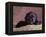 Black Lab Puppy in Basket-Jim Craigmyle-Framed Premier Image Canvas