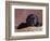 Black Lab Puppy in Basket-Jim Craigmyle-Framed Photographic Print