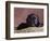 Black Lab Puppy in Basket-Jim Craigmyle-Framed Photographic Print