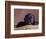 Black Lab Puppy in Basket-Jim Craigmyle-Framed Photographic Print