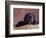 Black Lab Puppy in Basket-Jim Craigmyle-Framed Photographic Print