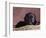 Black Lab Puppy in Basket-Jim Craigmyle-Framed Photographic Print