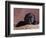 Black Lab Puppy in Basket-Jim Craigmyle-Framed Photographic Print