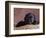 Black Lab Puppy in Basket-Jim Craigmyle-Framed Photographic Print