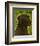 Black Lab-John Golden-Framed Giclee Print