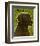 Black Lab-John Golden-Framed Giclee Print