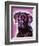 Black Lab-Dean Russo-Framed Giclee Print