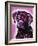 Black Lab-Dean Russo-Framed Giclee Print