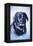 Black Lab-Rusty Frentner-Framed Premier Image Canvas