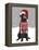 Black Labrador, Christmas Sweater 1-Fab Funky-Framed Stretched Canvas