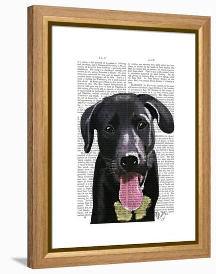 Black Labrador Plain-Fab Funky-Framed Stretched Canvas