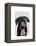 Black Labrador Plain-Fab Funky-Framed Stretched Canvas