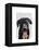 Black Labrador Plain-Fab Funky-Framed Stretched Canvas