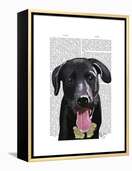 Black Labrador Plain-Fab Funky-Framed Stretched Canvas