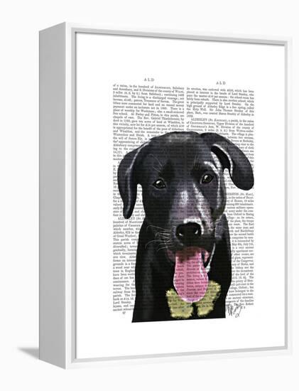 Black Labrador Plain-Fab Funky-Framed Stretched Canvas