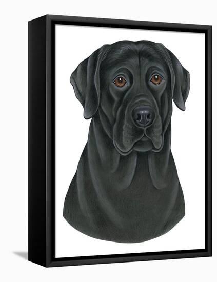 Black Labrador Portrait-Tomoyo Pitcher-Framed Premier Image Canvas