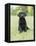 Black Labrador Puppy-Jim Craigmyle-Framed Premier Image Canvas