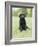 Black Labrador Puppy-Jim Craigmyle-Framed Photographic Print