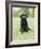 Black Labrador Puppy-Jim Craigmyle-Framed Photographic Print