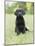 Black Labrador Puppy-Jim Craigmyle-Mounted Photographic Print