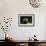 Black Labrador Retriever 22-Bob Langrish-Framed Photographic Print displayed on a wall