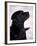 Black Labrador Retriever Looking Up-Adriano Bacchella-Framed Photographic Print