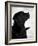 Black Labrador Retriever Looking Up-Adriano Bacchella-Framed Photographic Print