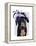 Black Labrador with Blue Fascinator-Fab Funky-Framed Stretched Canvas