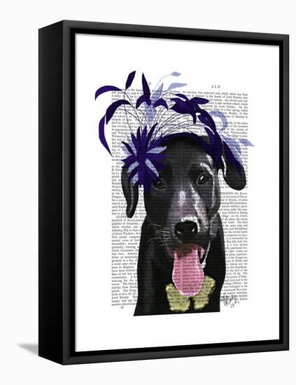 Black Labrador with Blue Fascinator-Fab Funky-Framed Stretched Canvas