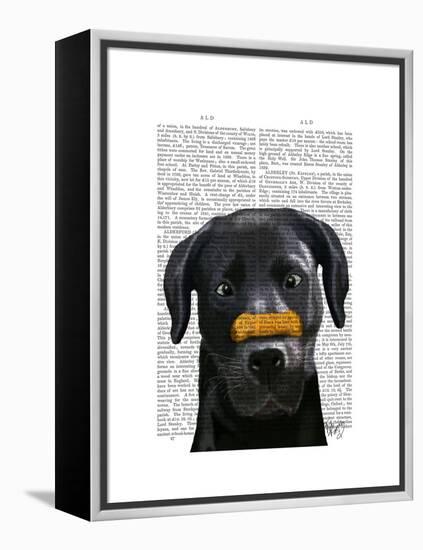 Black Labrador with Bone on Nose-Fab Funky-Framed Stretched Canvas