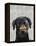 Black Labrador with Bone on Nose-Fab Funky-Framed Stretched Canvas