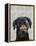 Black Labrador with Bone on Nose-Fab Funky-Framed Stretched Canvas