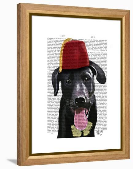 Black Labrador with Fez-Fab Funky-Framed Stretched Canvas