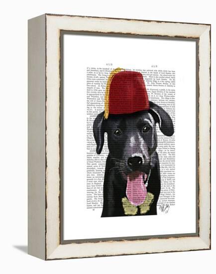 Black Labrador with Fez-Fab Funky-Framed Stretched Canvas