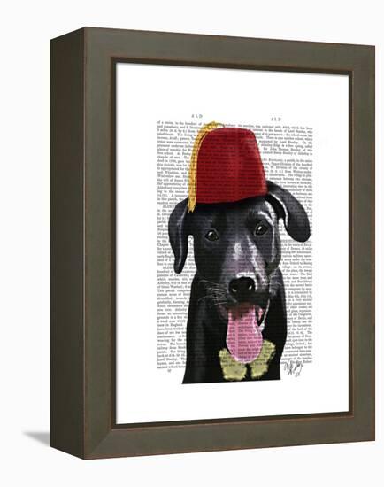 Black Labrador with Fez-Fab Funky-Framed Stretched Canvas