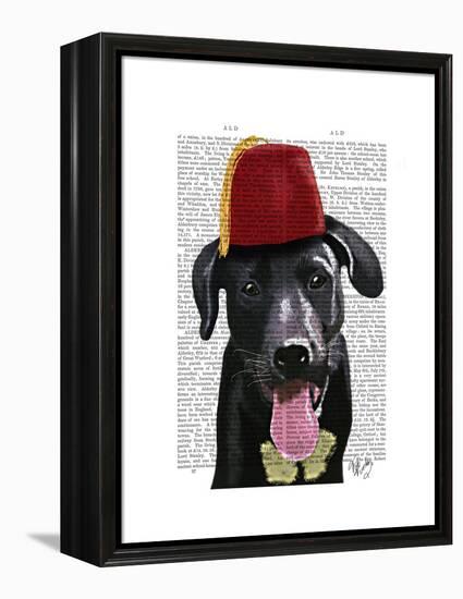 Black Labrador with Fez-Fab Funky-Framed Stretched Canvas