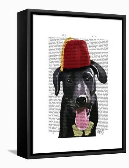 Black Labrador with Fez-Fab Funky-Framed Stretched Canvas