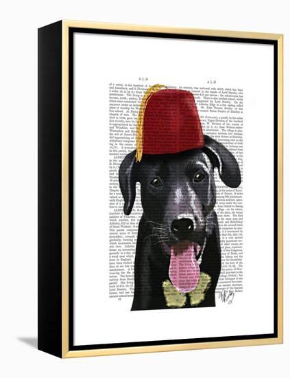 Black Labrador with Fez-Fab Funky-Framed Stretched Canvas