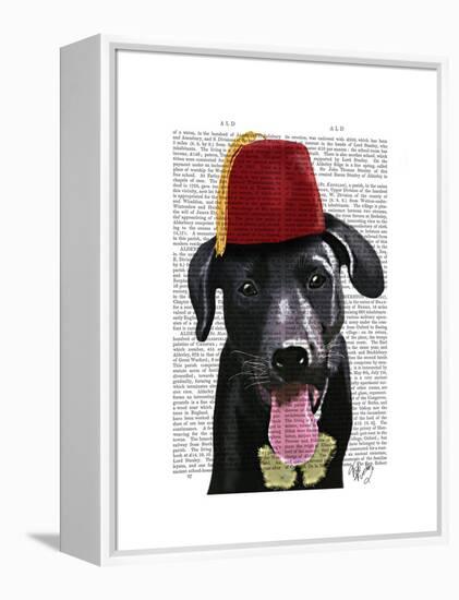 Black Labrador with Fez-Fab Funky-Framed Stretched Canvas